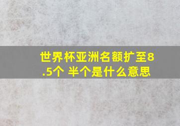 世界杯亚洲名额扩至8.5个 半个是什么意思